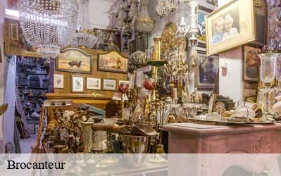 Brocanteur Loir-et-Cher 