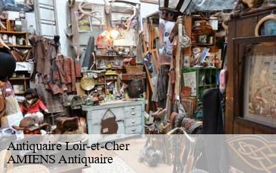 Antiquaire Loir-et-Cher 