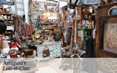 Antiquaire Loir-et-Cher 