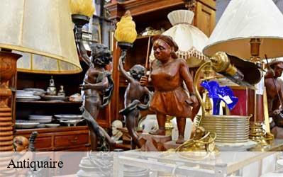 Antiquaire Loir-et-Cher 