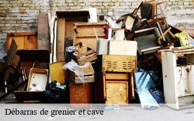 Débarras de grenier et cave  41240