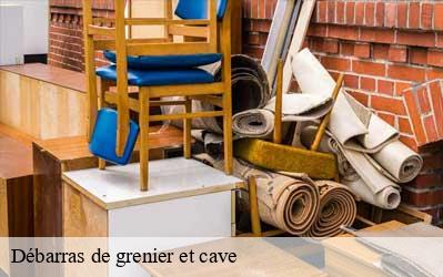 Débarras de grenier et cave  41310