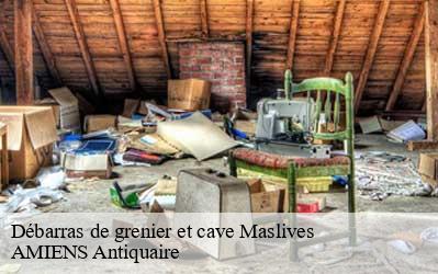 Débarras de grenier et cave  41250